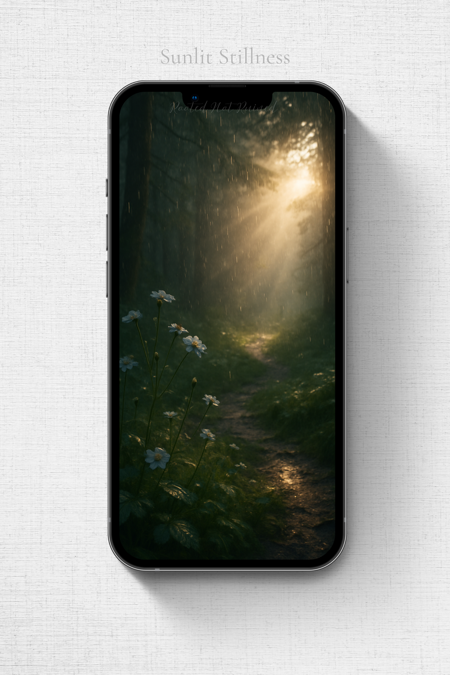 Sunlit Stillness | Cinematic Wildflower Forest Phone Wallpaper | Moody Nature Background | Rainy Meadow Aesthetic | iPhone & Android Compatible | Digital Download