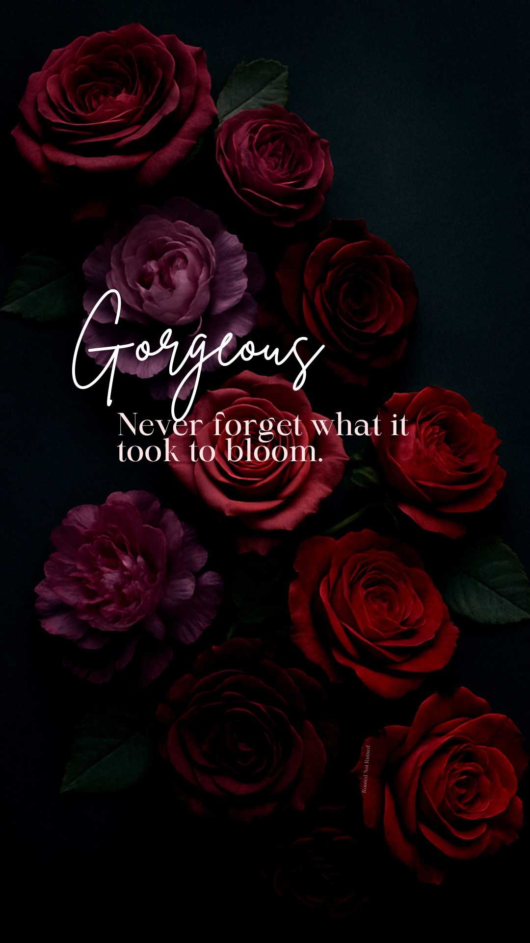 Bloom